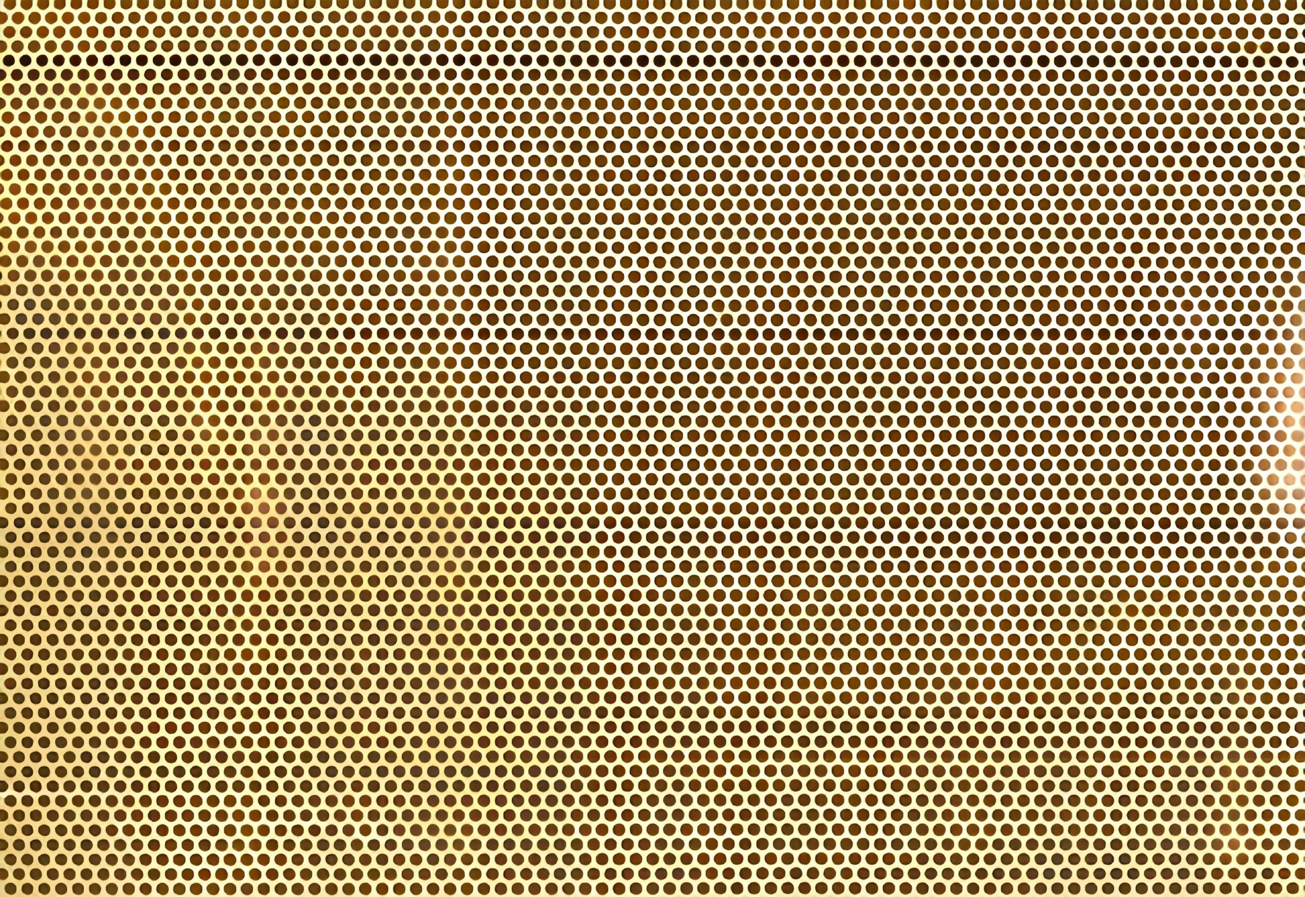 SG-PH perforated metal sheet